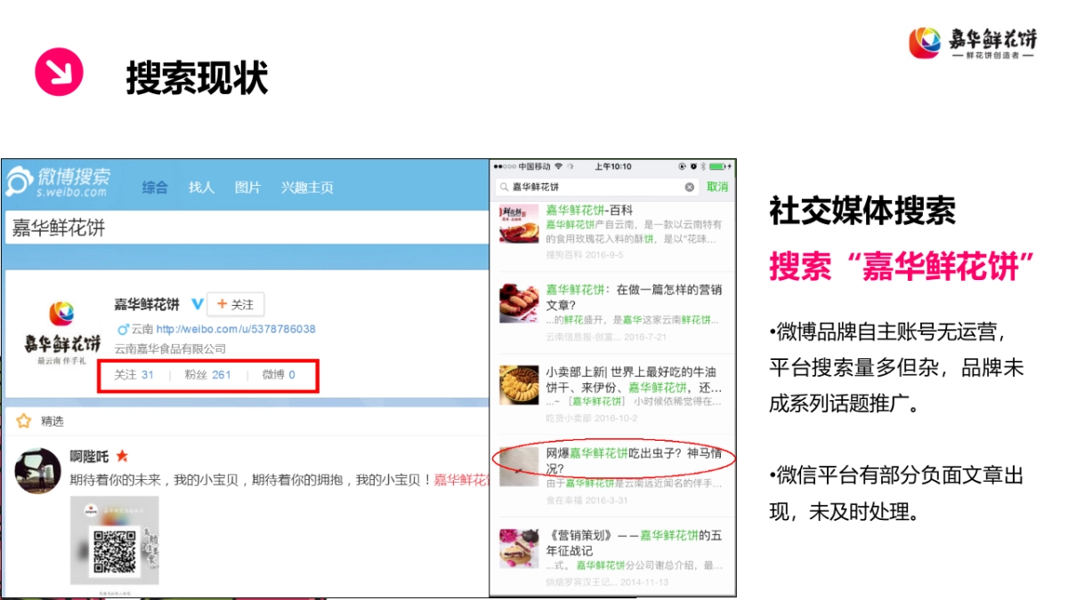 嘉华鲜花饼2017年SEO／SEM规划_第6页