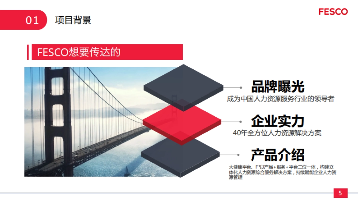 FESCO产品发布会方案模板0825V2_第5页
