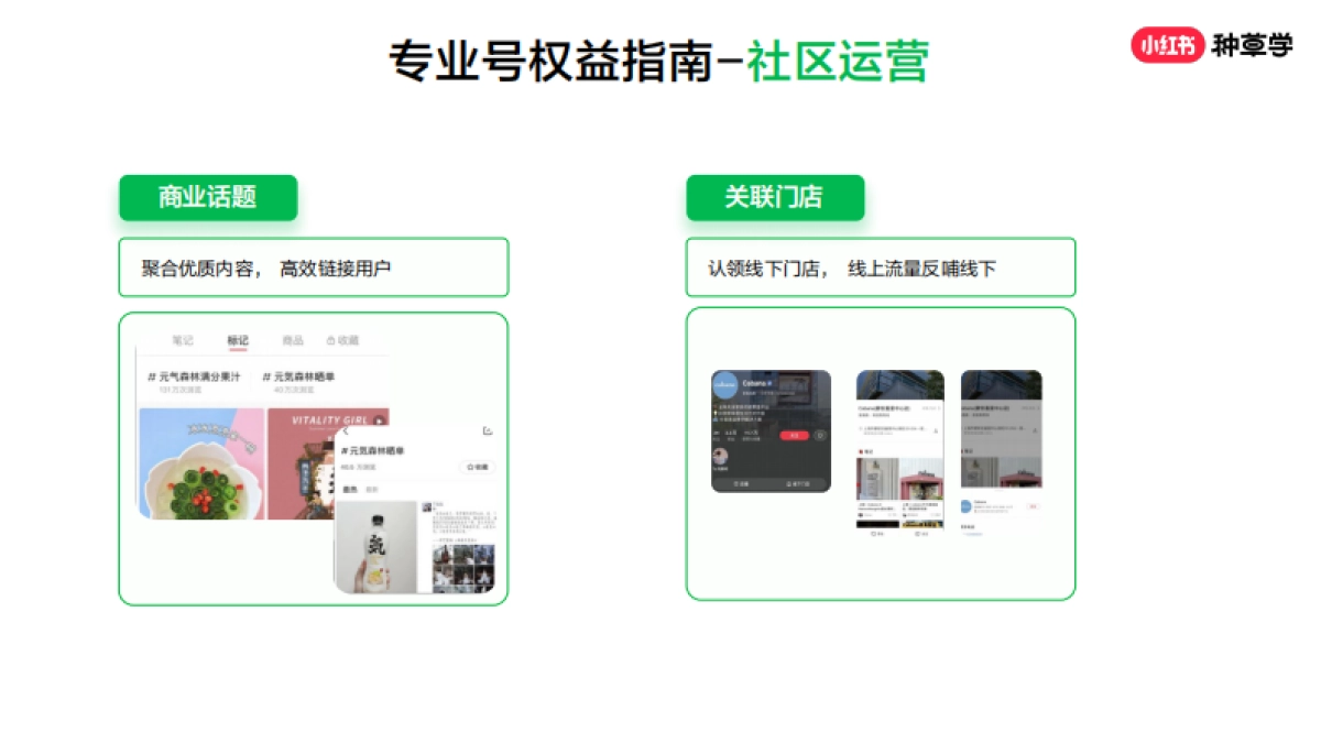 认证小红书专业号_第10页