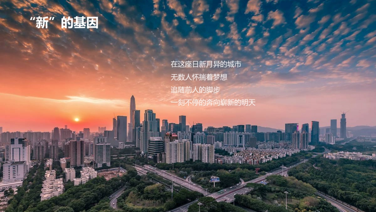 黑弧数码-远洋深圳科创天地2018-2020新媒体运营方案_第6页