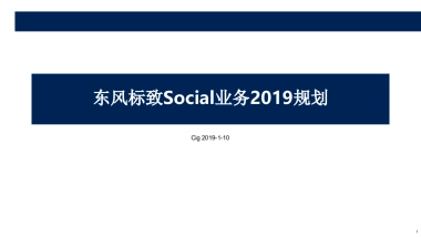 东风标致Social业务2019规划