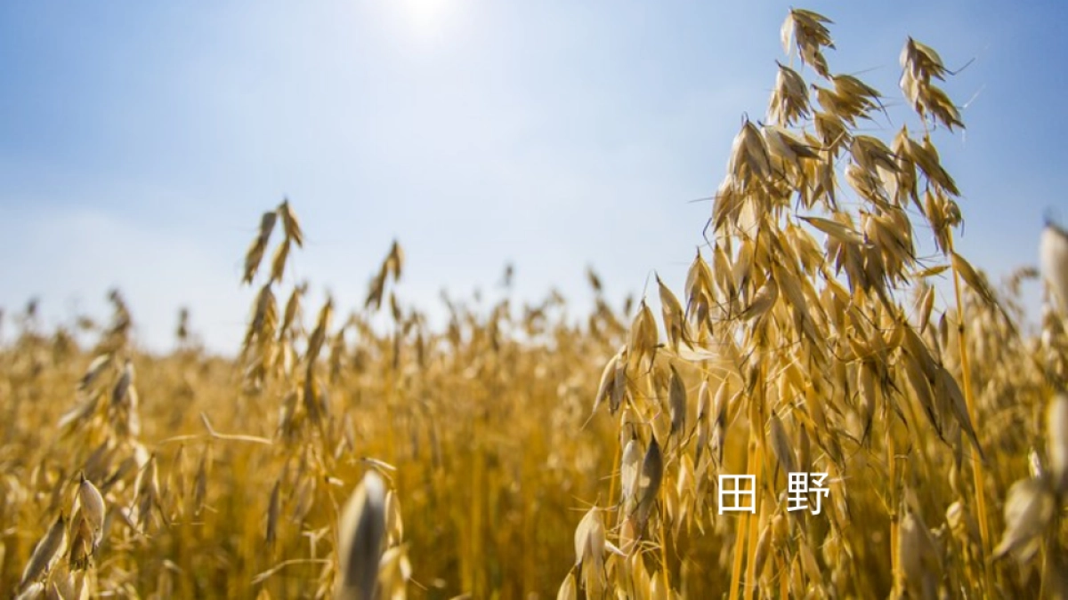 大云宣讲最终版523_第3页