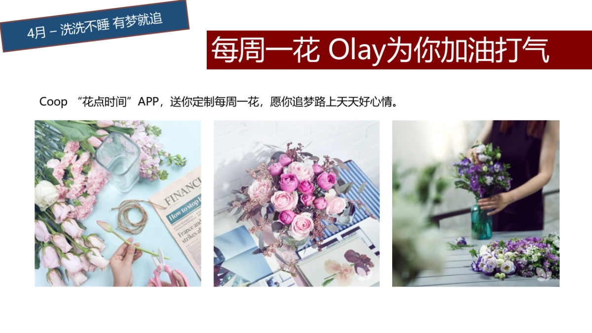 TMALL JPB 2017 V1_第10页