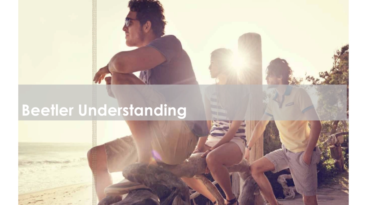 The Beetle CRM141111-final_第3页