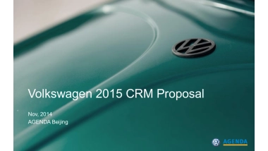 The Beetle CRM141111-final