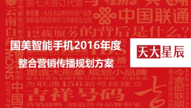 国美智能手机整合方案0316