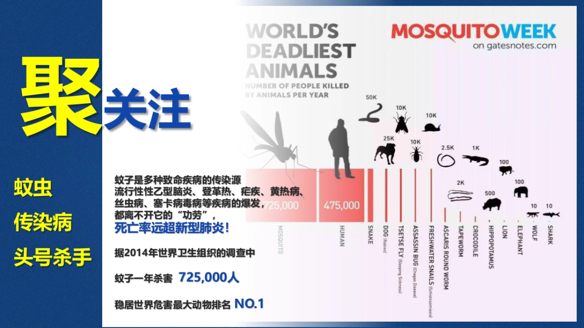 2020雷达驱蚊天猫欢聚日比稿方案_第6页