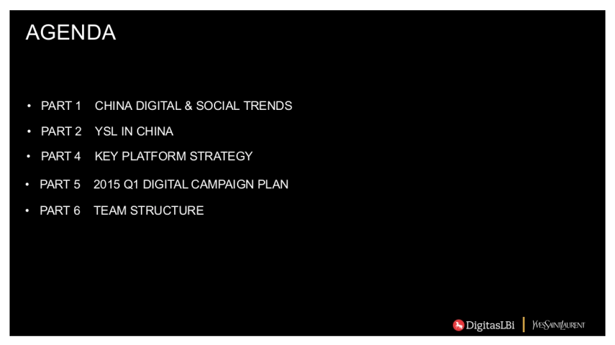 【DigitasLBi】YSL Digital Annual Plan_第4页