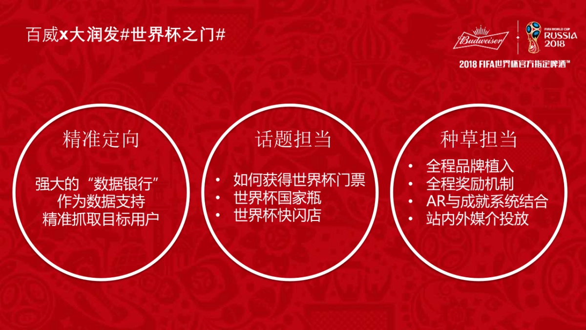 百威FIFA方案012902_第5页