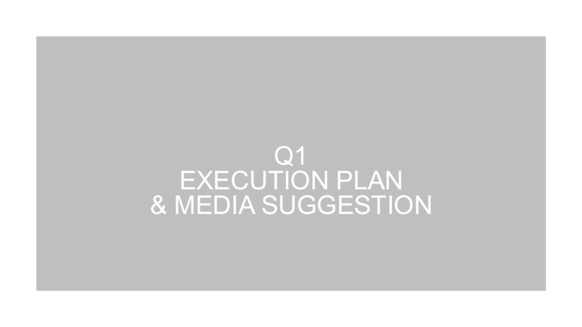 WUJI Q1 Execution Plan Final_第6页