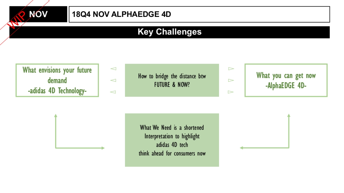 ALPHAEDGE 4D SUPPORTING PLAN_第7页