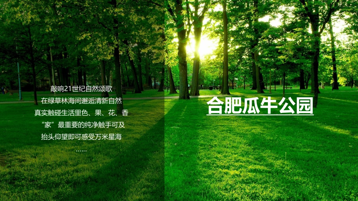 长虹5G生态家电品鉴会_第10页