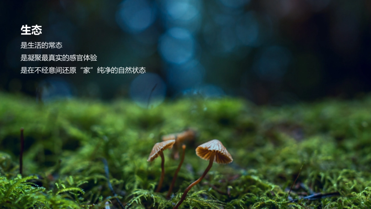 长虹5G生态家电品鉴会_第5页