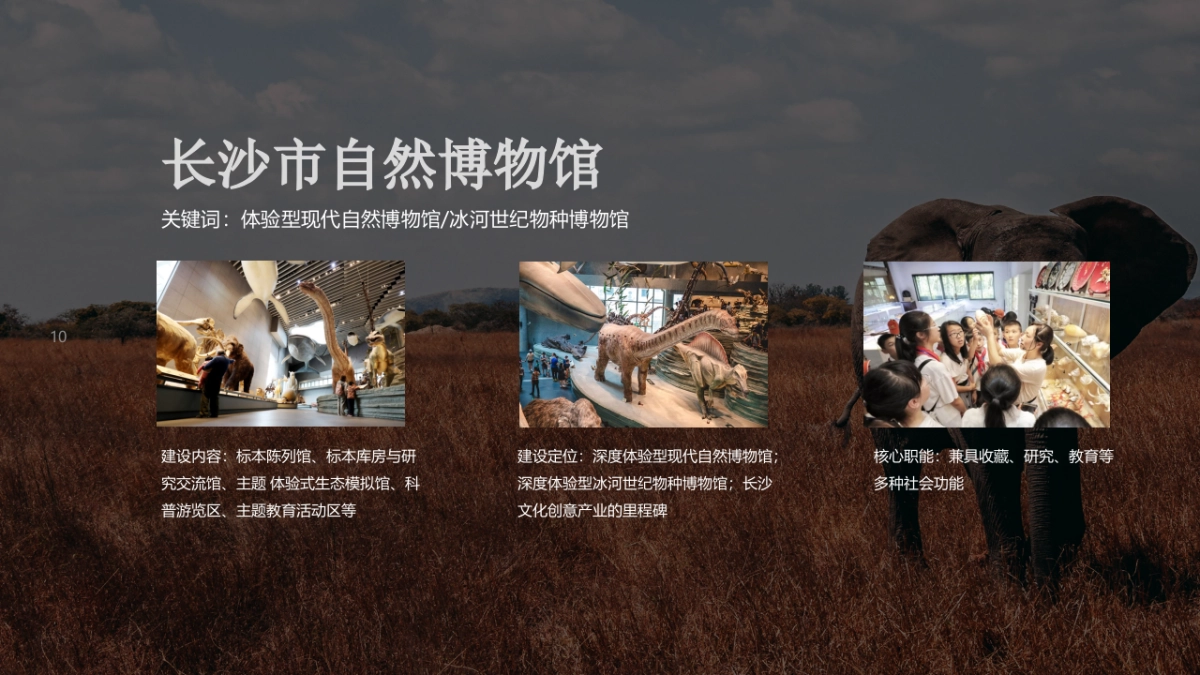 长沙自然博物馆建设规划初案_第10页