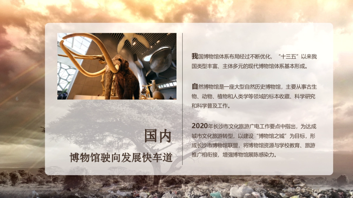 长沙自然博物馆建设规划初案_第6页