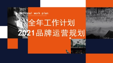 LioLio婴儿食品市场部全年规划方案