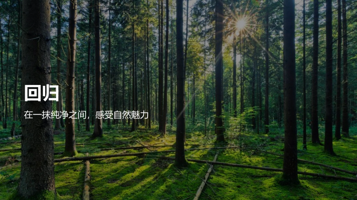 长虹 -5G生态家电品鉴会_第8页