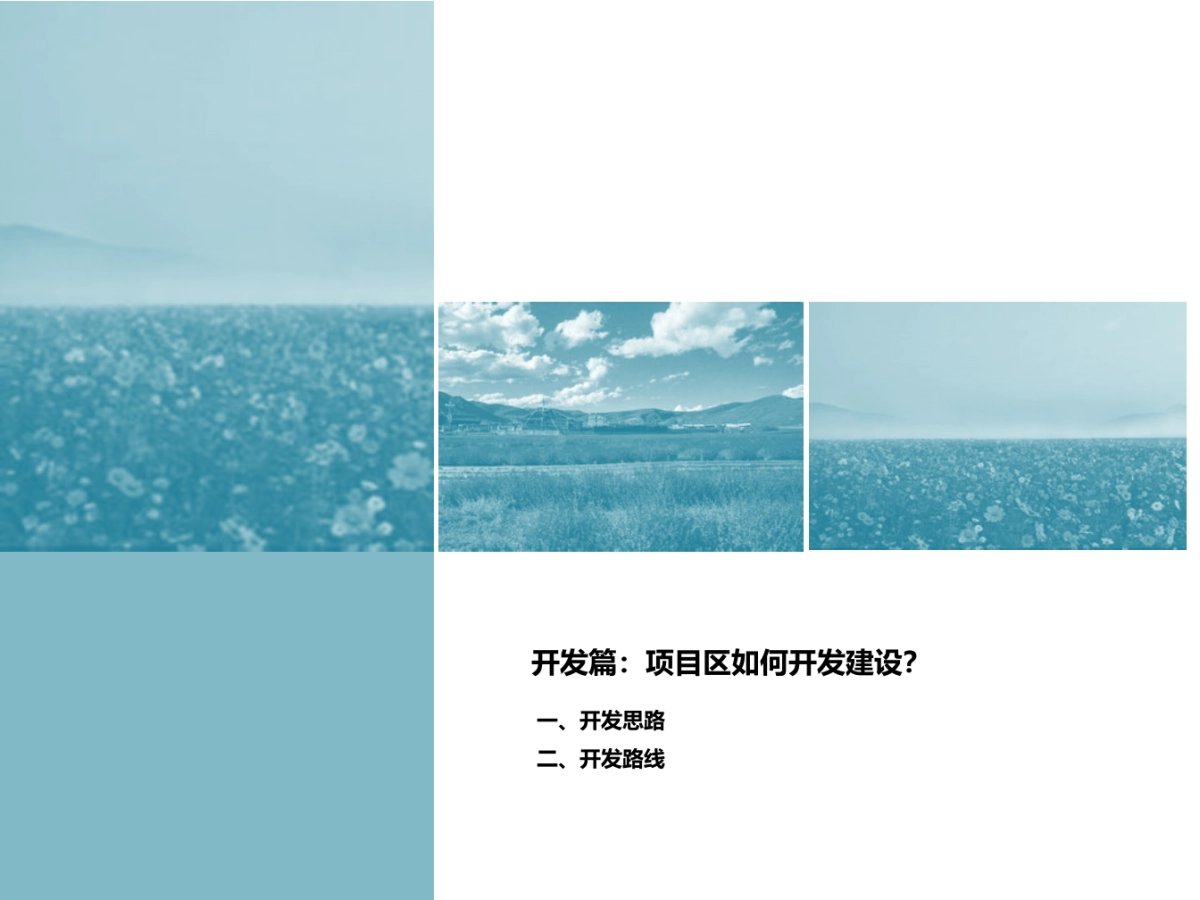 四川松潘唐蕃互市格桑花海_第10页