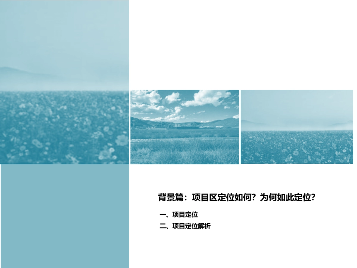 四川松潘唐蕃互市格桑花海_第3页