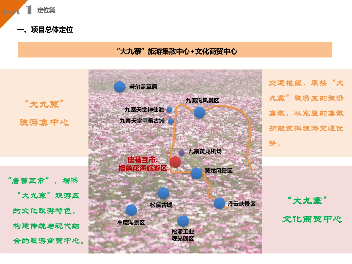 四川松潘唐蕃互市格桑花海_第4页