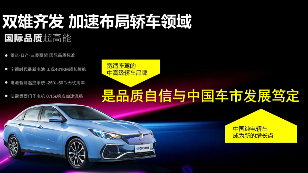 启辰新能源全国双车上市发布会方案_第4页