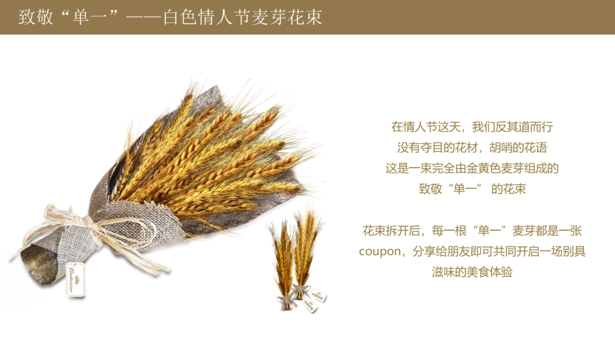 啤酒BUD SUPREME R2 SOCIAL & PR - 0105 Reload_第7页