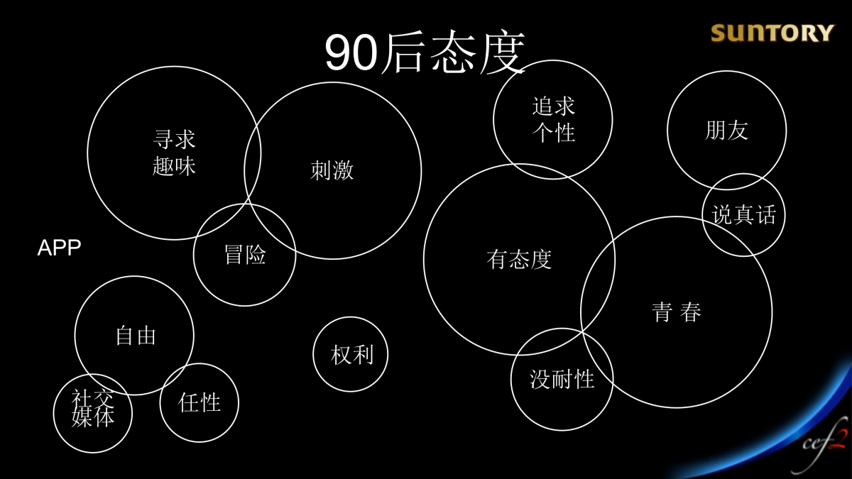 Suntory-direction_第7页