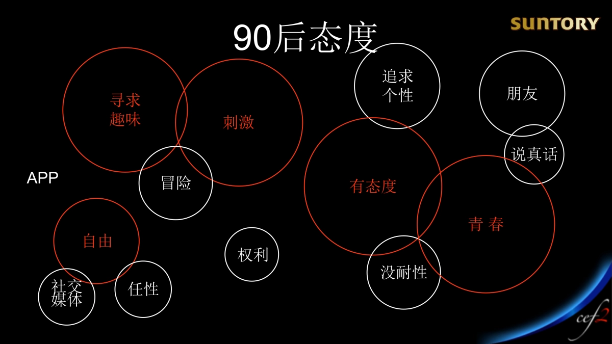 Suntory-direction_第8页
