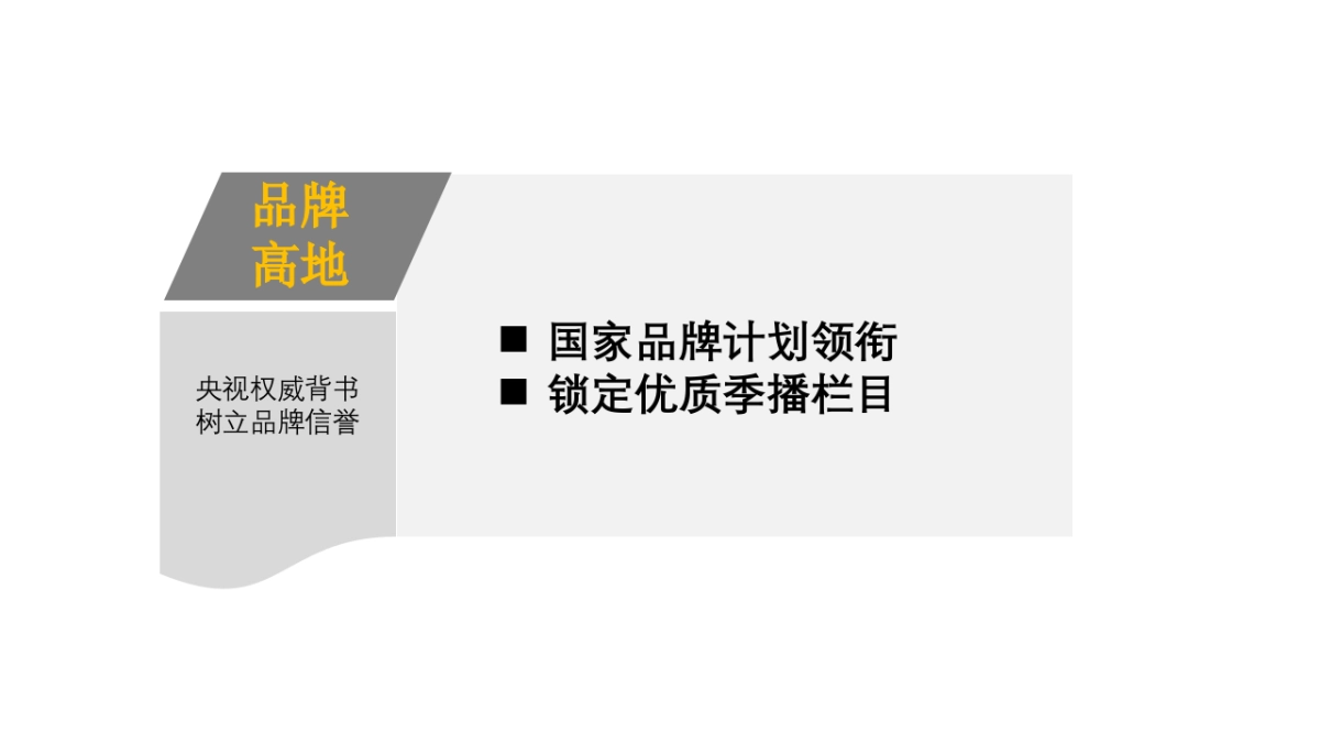 贵牌酒业媒介投放年度建议方案-20180317_第5页
