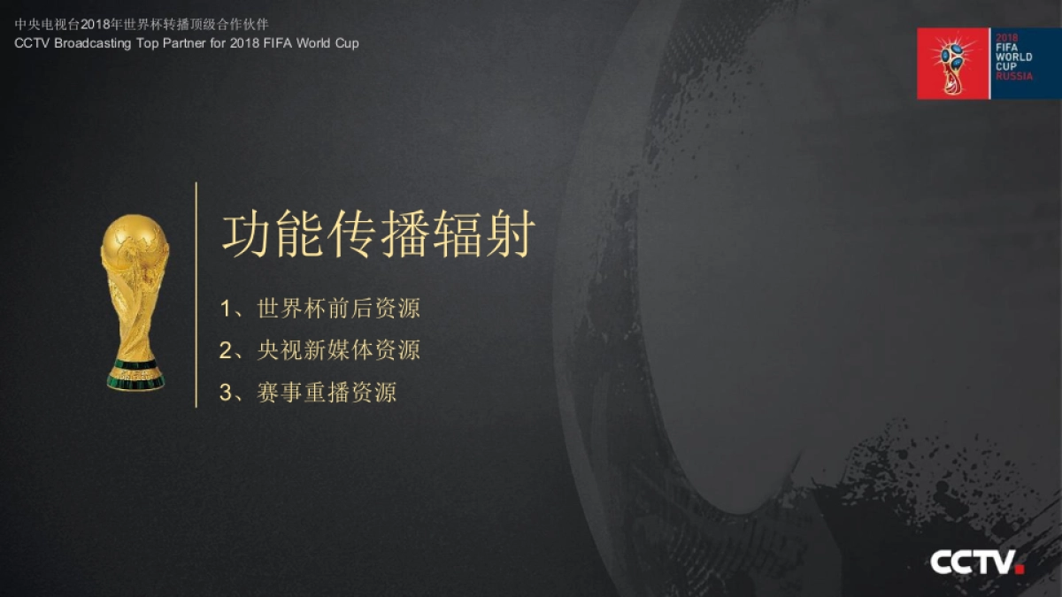 中央电视台2018年俄罗斯世界杯广告资源_第10页