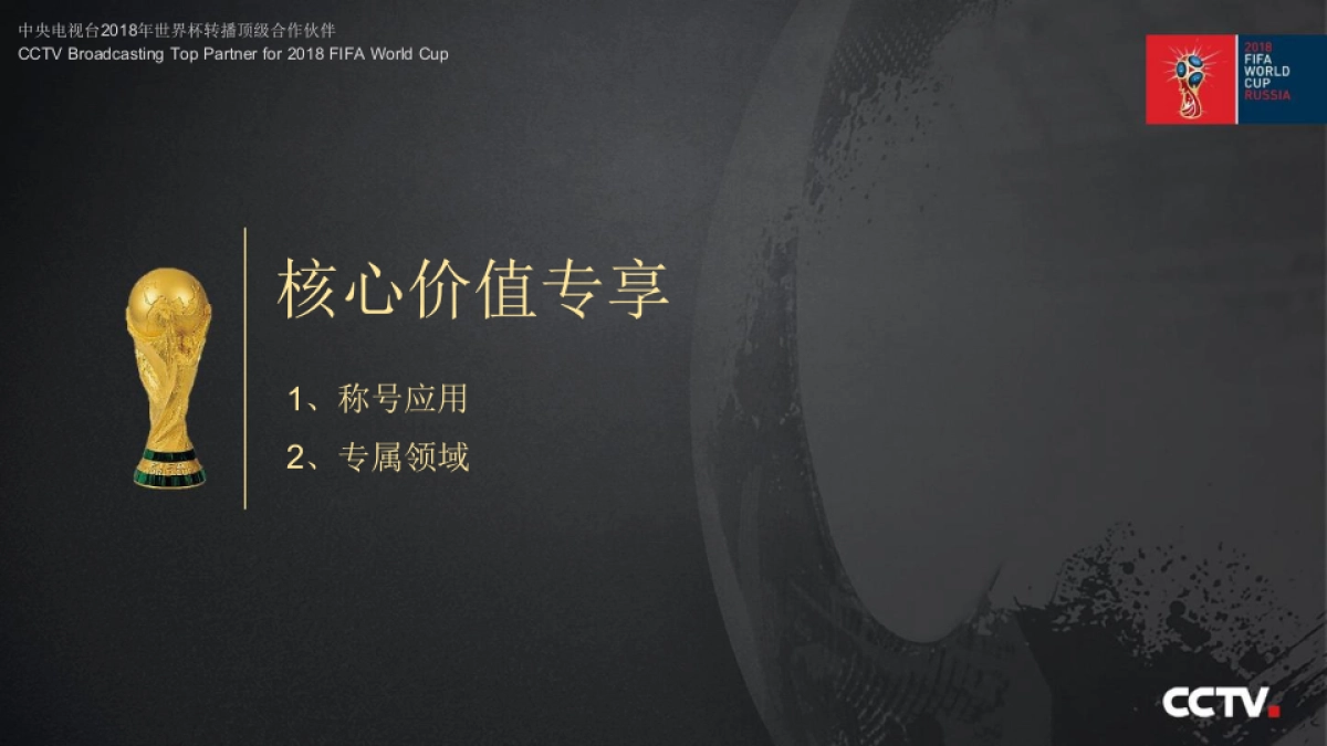 中央电视台2018年俄罗斯世界杯广告资源_第6页