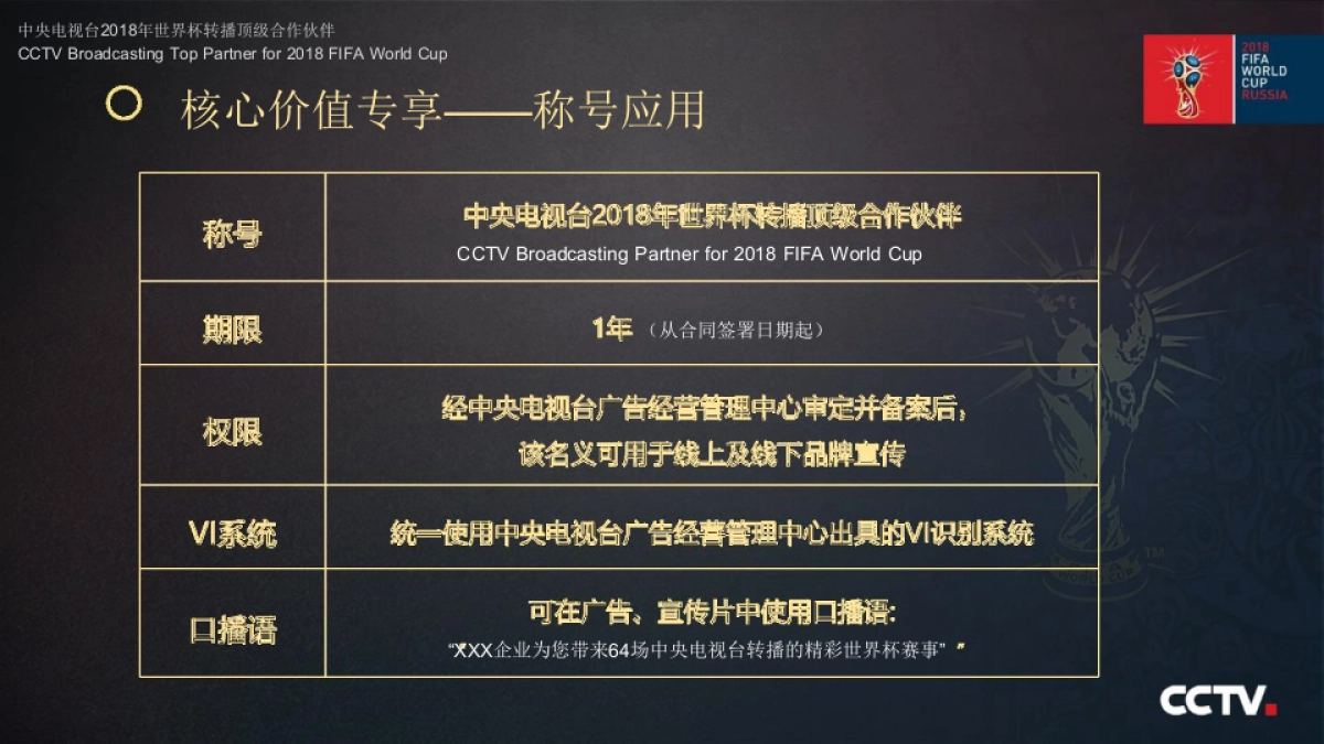 中央电视台2018年俄罗斯世界杯广告资源_第7页