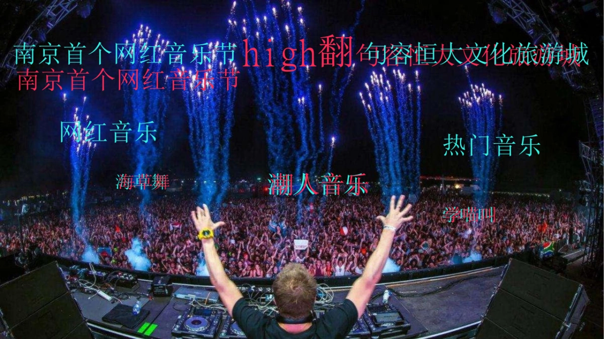 2018年南京网红音乐节_第9页