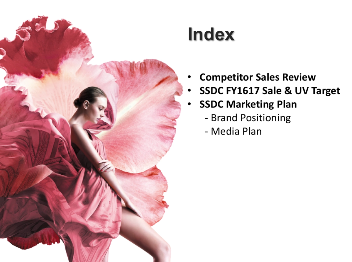 SASA Revised Media Plan v2_第3页