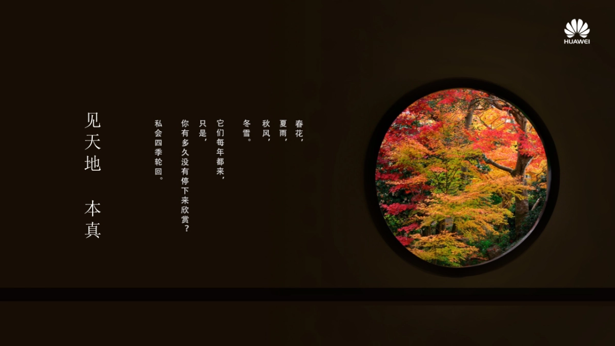 Carrera Social v2_第4页