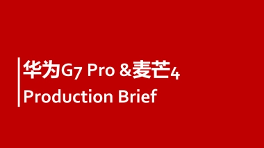 华为手机G7 Pro&麦芒4 Production  Brief