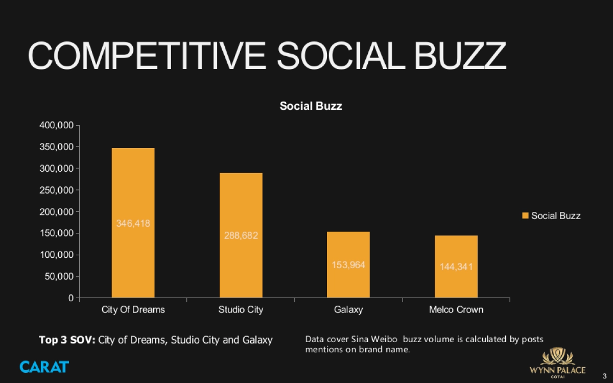 Wynn Palance pitch_social part 0105_第3页