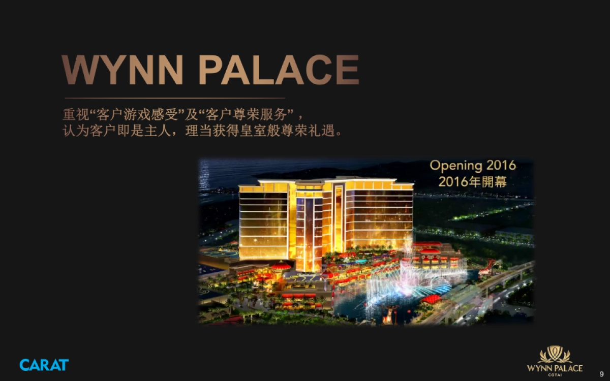 Wynn Palance pitch_social part 0105_第9页
