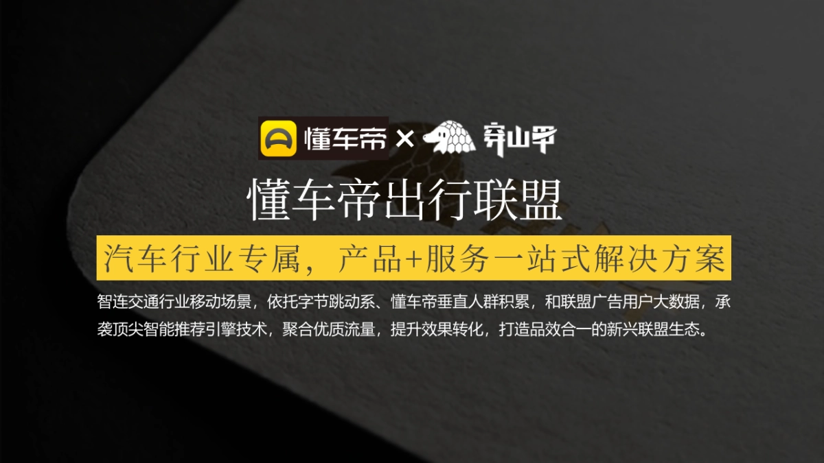 【懂车帝】出行联盟规划方案_第5页