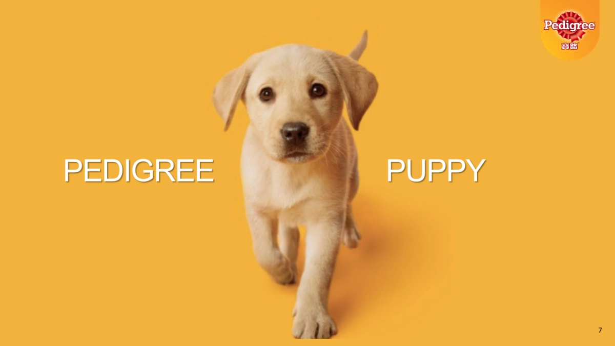 PED 2017 Puppy creative_CH_BBDO_第7页