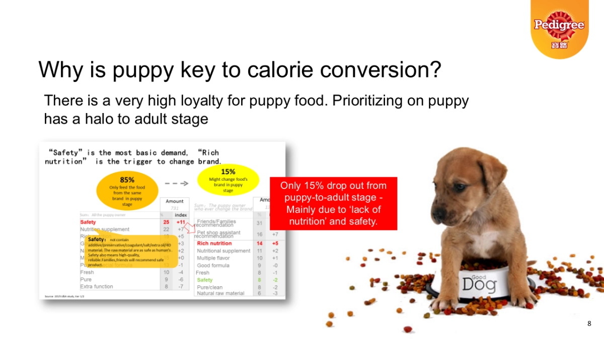 PED 2017 Puppy creative_CH_BBDO_第8页