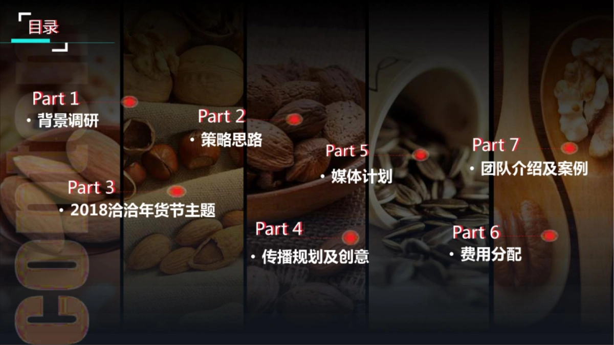 2018洽洽年货节方案_第2页