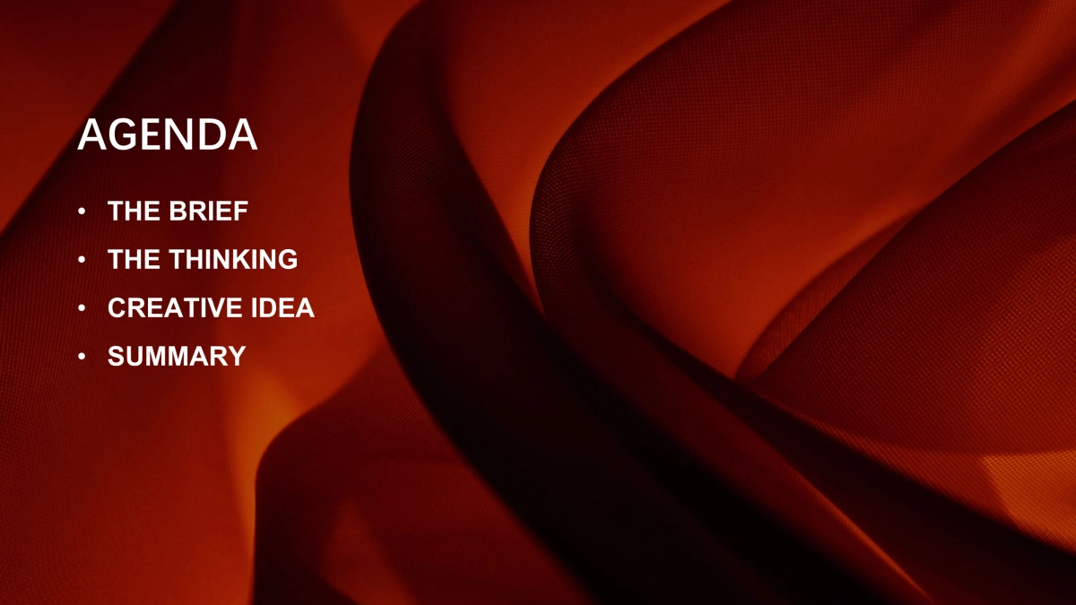 abc-cny-campaign-fianl_第2页