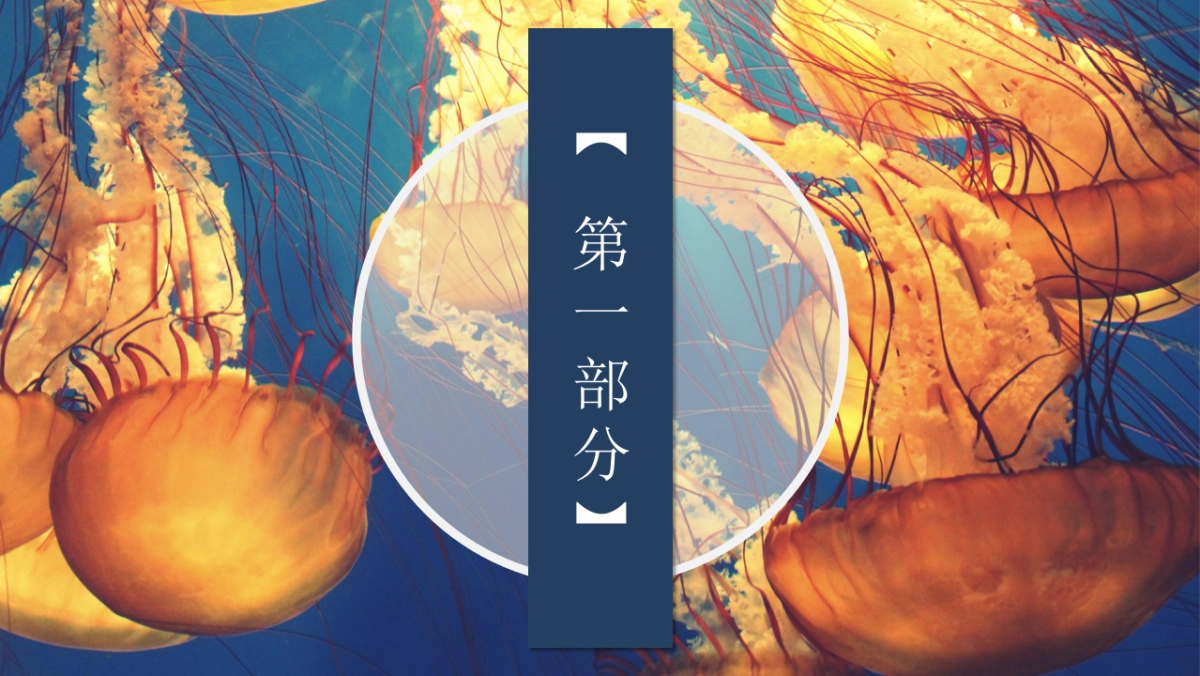 2019“深海奇遇 邂逅未来”海洋节嘉年华_第7页