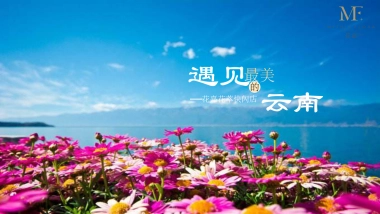 嘉小鲜油快闪店区域打造方案