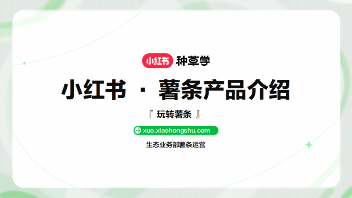 红书薯条产品薯条操作说明_第1页