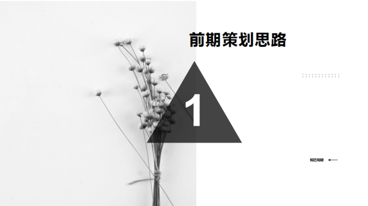 年3M小红书投放-8月结案报告_第3页