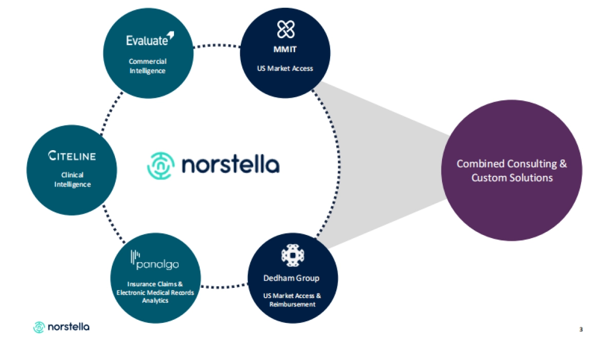 2025破局 “内卷”：中国创新药出海的关键成功要素与实战路径报告-赛趋科_第3页
