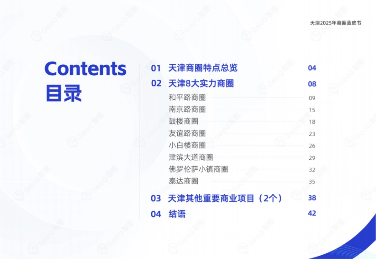 天津2025年商圈蓝皮书-GeoQ智图_第3页