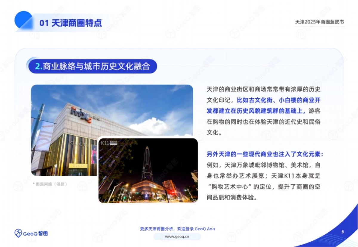 天津2025年商圈蓝皮书-GeoQ智图_第6页